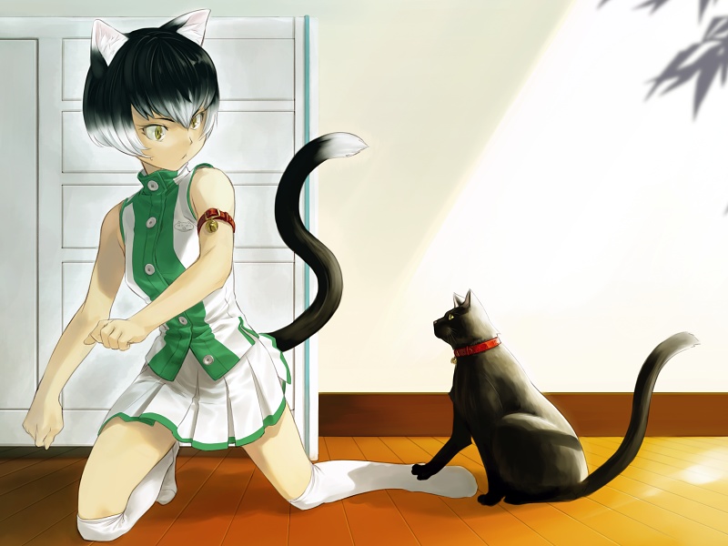 shimotsuki eight, original, bad id, bad pixiv id, 1girl, :<, animal ears, bell, black hair, buckle, cat, female focus, jingle bell, kneehighs, multicolored hair, over-kneehighs, short hair, skirt, sleeveless, slit pupils, socks, solo, staring, tail, thighhighs, two-tone hair, white hair, white socks, white thighhighs, yellow eyes