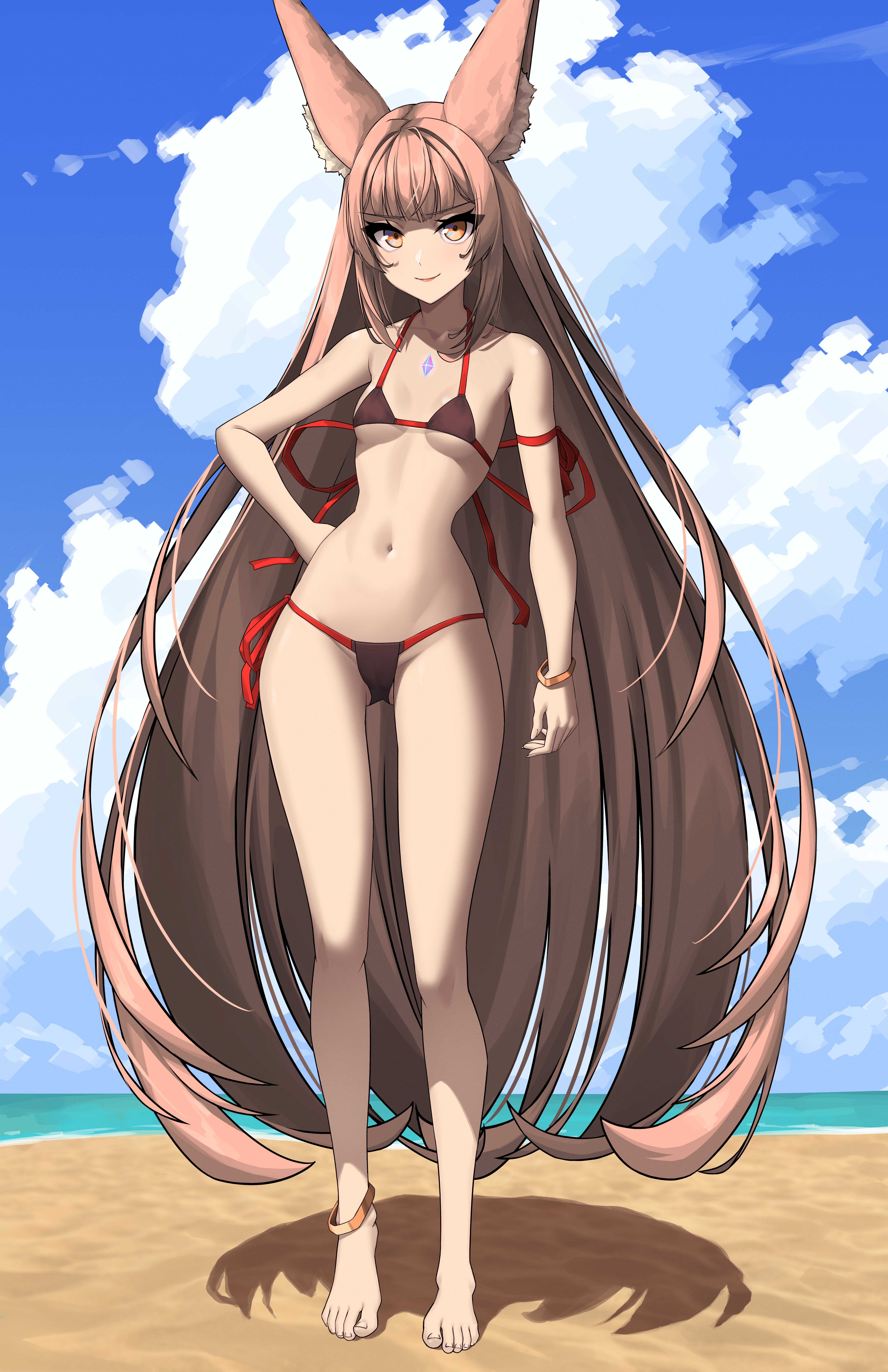 x xith x, nia (blade) (xenoblade), nia (xenoblade), xenoblade chronicles (series), xenoblade chronicles 2, absurdres, commentary, english commentary, highres, 1girl, alternate costume, animal ear fluff, animal ears, anklet, bikini, breasts, brown bikini, brown eyes, brown hair, cameltoe, chest jewel, closed mouth, cloud, cloudy sky, collarbone, day, feet, full body, gluteal fold, hand on own hip, jewelry, legs, long hair, looking at viewer, micro bikini, multicolored bikini, navel, outdoors, red bikini, shadow, side-tie bikini bottom, sidelocks, sky, small breasts, smile, solo, standing, swimsuit, thighs, toenails, toes, two-tone bikini, very long hair