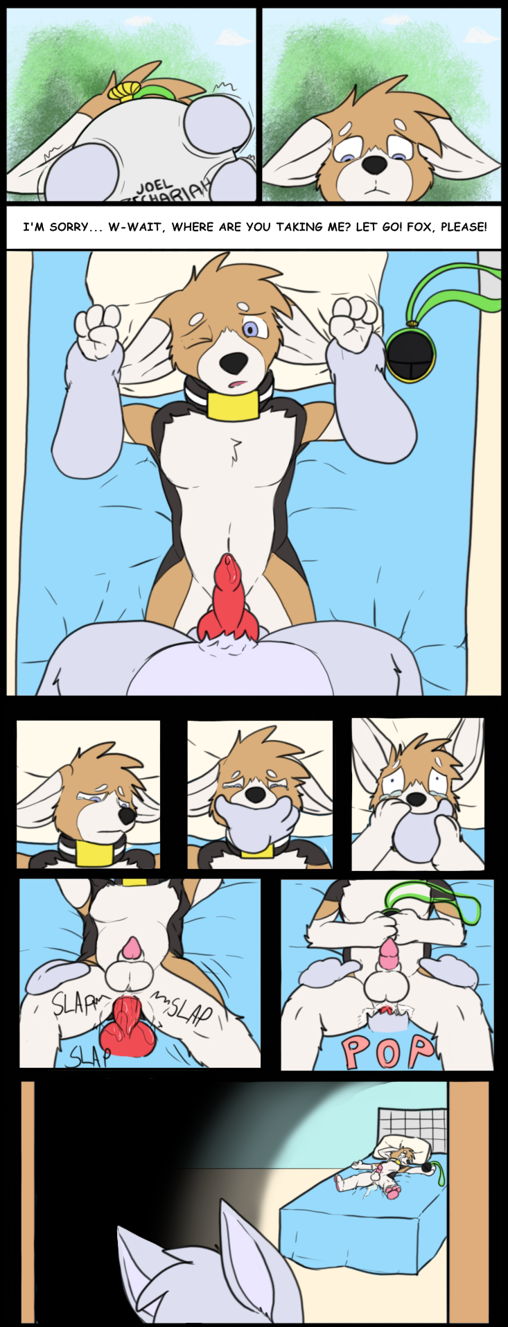Rule34 – If it exists, there is porn of it / trashbadger, fox (housepets!), king (housepets!) / 2902