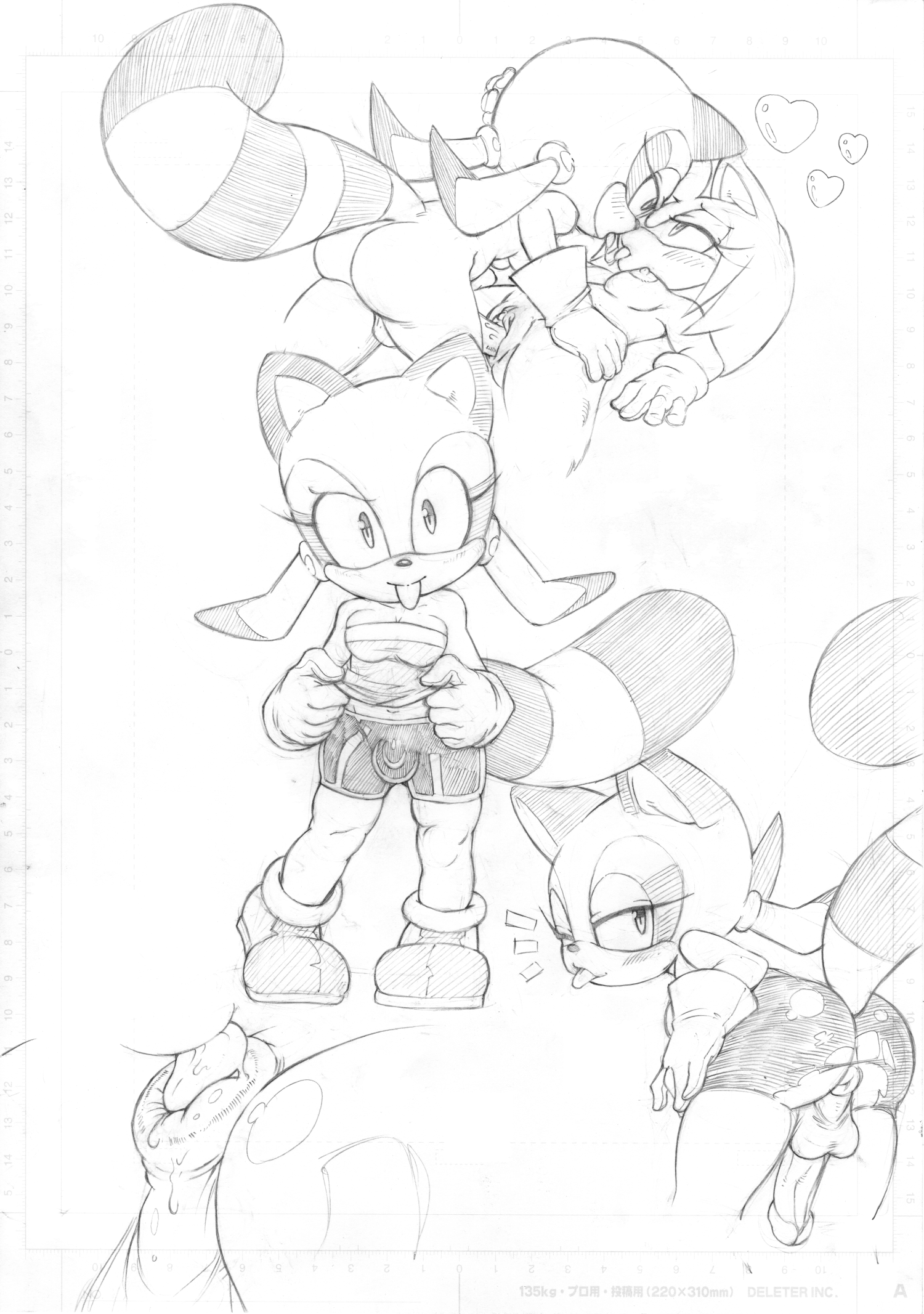Rule34 – If it exists, there is porn of it / amy rose, marine the raccoon / 3166