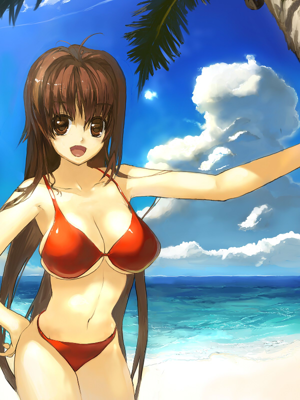 bob (biyonbiyon), original, 1girl, beach, bikini, breasts, brown eyes, brown hair, cleavage, day, female focus, large breasts, long hair, looking at viewer, open mouth, outdoors, red bikini, smile, solo, swimsuit