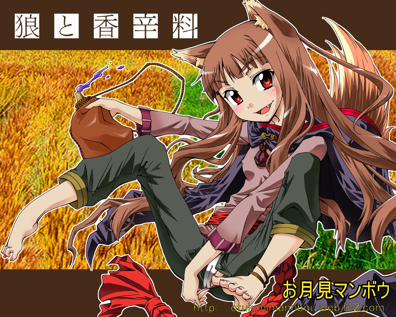 tsukino kitsune, holo, spice and wolf, 00s, animal ears, barefoot, brown hair, fang, long hair, panties, red eyes, solo, tail, underwear, wolf ears, wolf tail