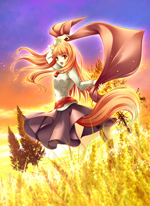 niko, niko (azurite), holo, spice and wolf, 00s, 1girl, animal ears, brown hair, female focus, long hair, red eyes, solo, tail, wheat, wolf ears, wolf tail