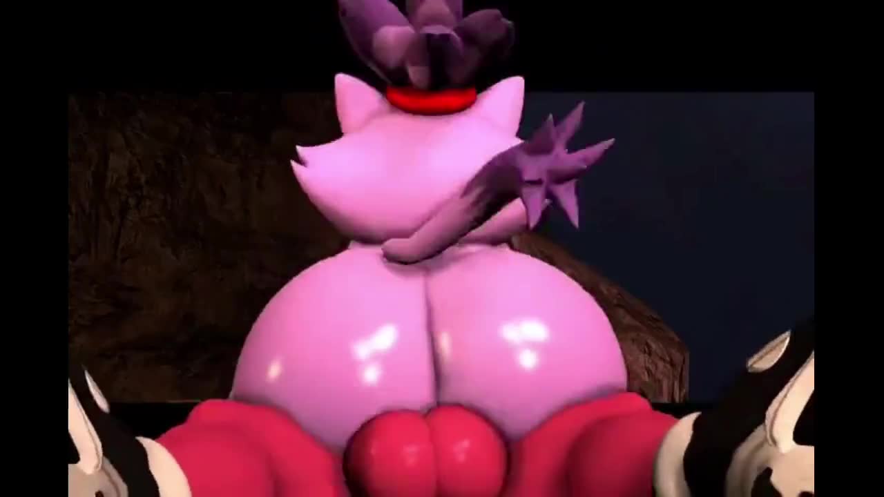 Rule34 – If it exists, there is porn of it / blaze the cat / 8637875