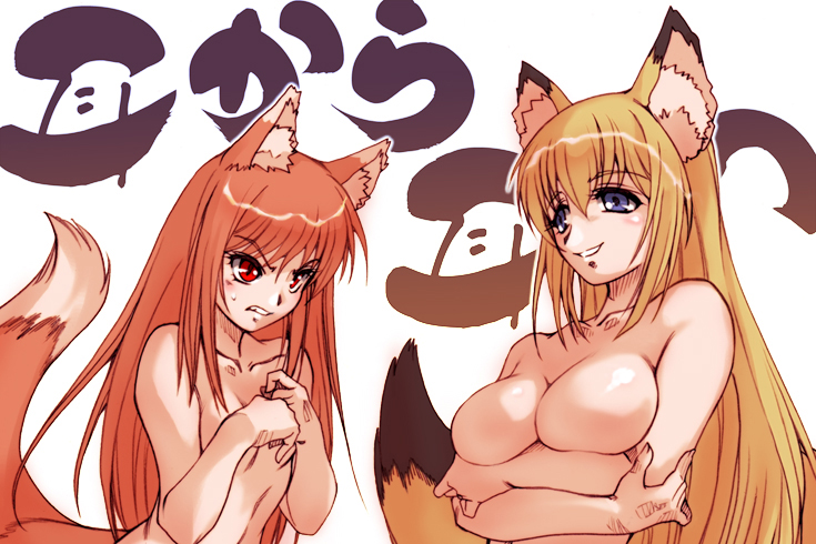 hisahiko, holo, minamoto chizuru, tenko kuugen, kanokon, spice and wolf, wagaya no oinari-sama, 00s, 2girls, animal ears, breast envy, breasts, cleavage, crossover, fox ears, large breasts, multiple girls, no nipples, nude, small breasts, tail, wolf ears, wolf tail