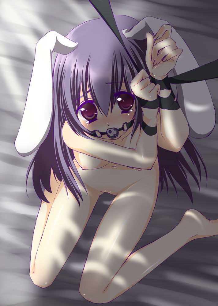 Rule34 – If it exists, there is porn of it / amanagi seiji, reisen udongein inaba / 4281