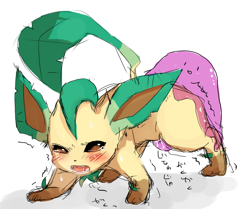Rule34 – If it exists, there is porn of it / ditto, leafeon / 4488