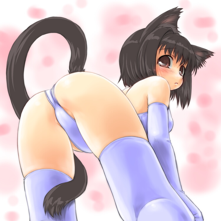 dd (ijigendd), original, bad id, bad pixiv id, 1girl, all fours, animal ears, ass, bent over, black hair, blush, brown eyes, cat ears, cat tail, elbow gloves, female focus, gloves, short hair, solo, tail, thighhighs