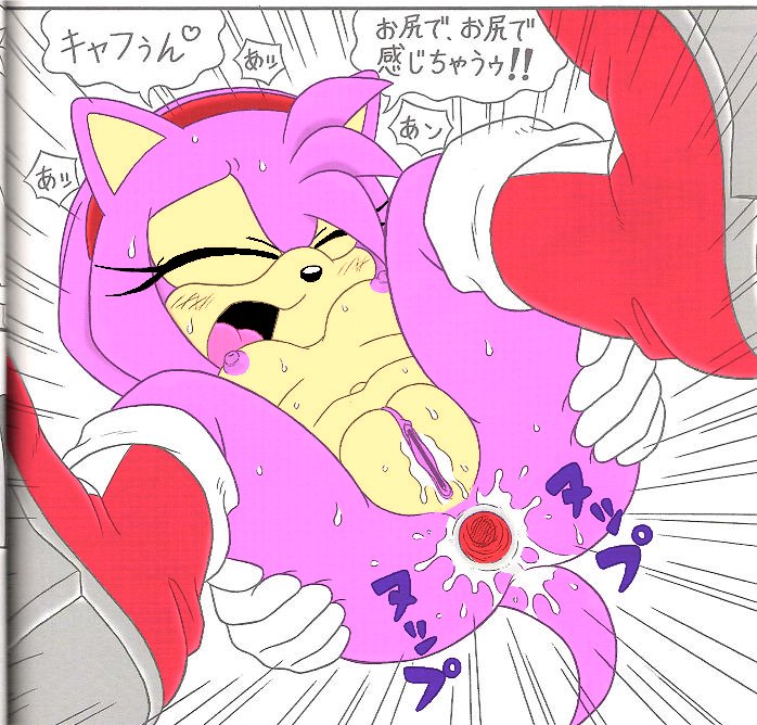 Rule34 – If it exists, there is porn of it / amy rose, sonic the hedgehog / 4853