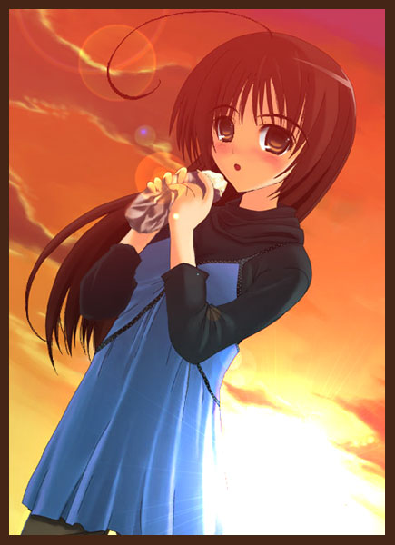amari yuki, bad id, bad pixiv id, tagme, black hair, blush, brown eyes, solo, sunset