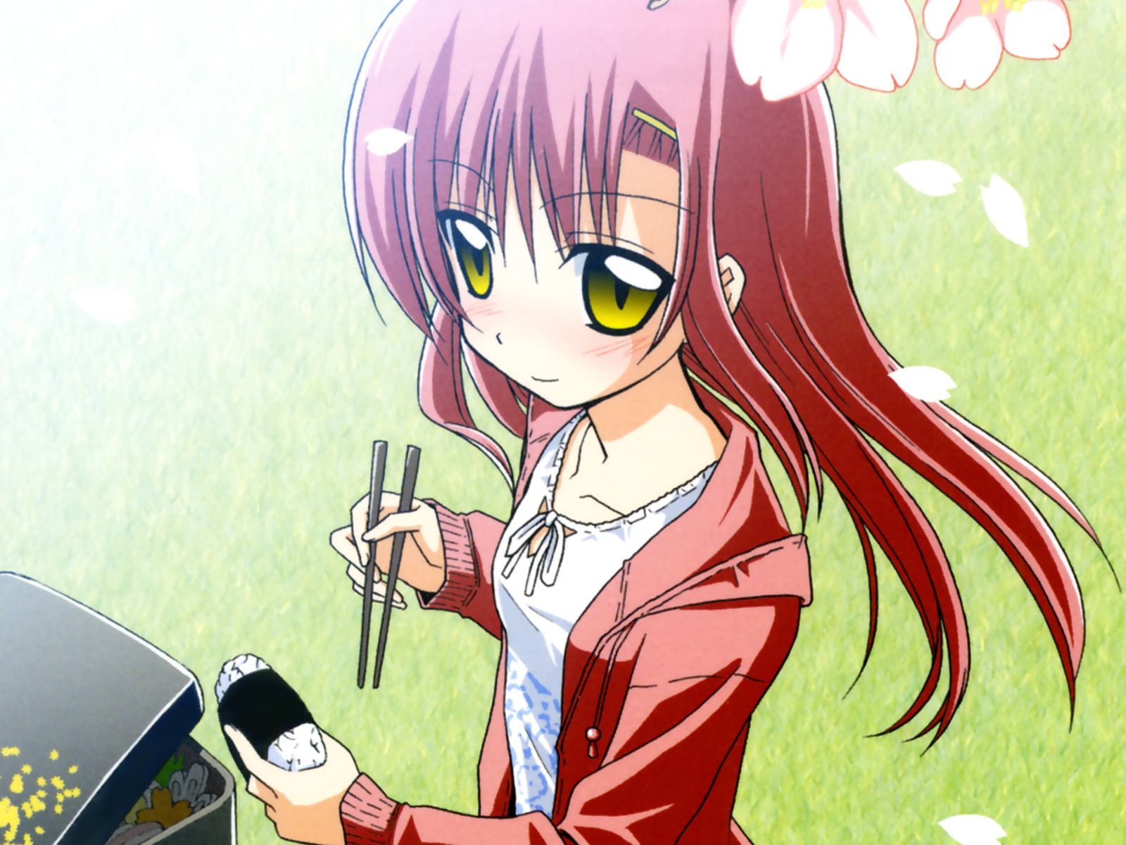 hata kenjirou, katsura hinagiku, hayate no gotoku!, highres, 00s, bento, casual, chopsticks, food, hair ornament, hairband, hairclip, looking up, onigiri, petals, pink hair, solo, yellow eyes