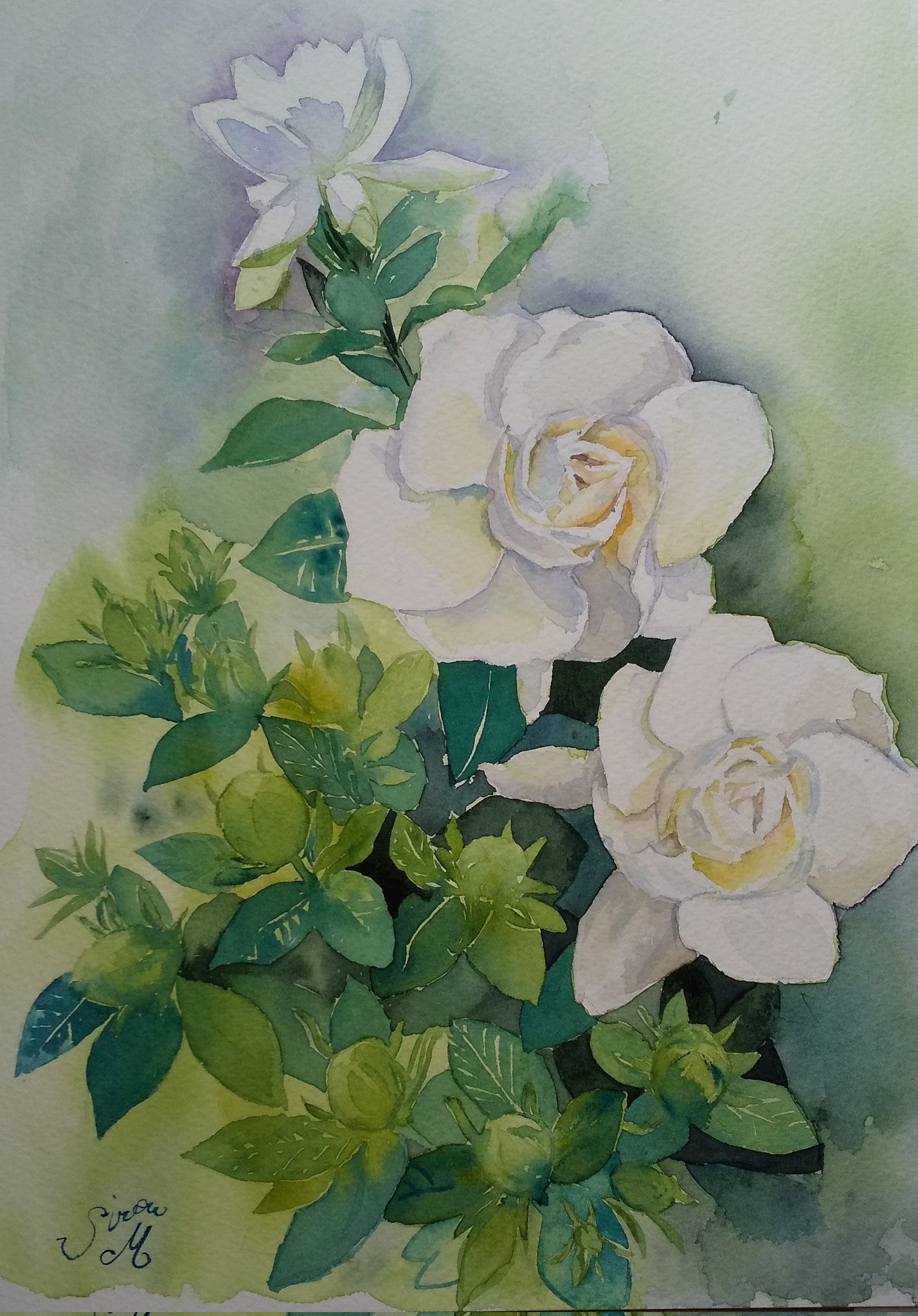 monsisiro411823, original, highres, painting (medium), traditional media, watercolor (medium), flower, flower focus, gradient background, green background, grey background, leaf, no humans, plant, plant focus, still life, white flower