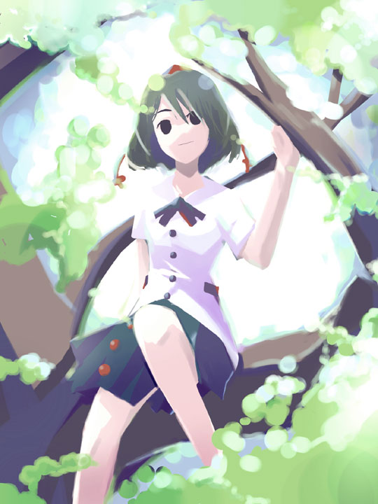 takanashi akihito, shameimaru aya, touhou, 1girl, female focus, hat, in tree, sitting, sitting in tree, solo, tree