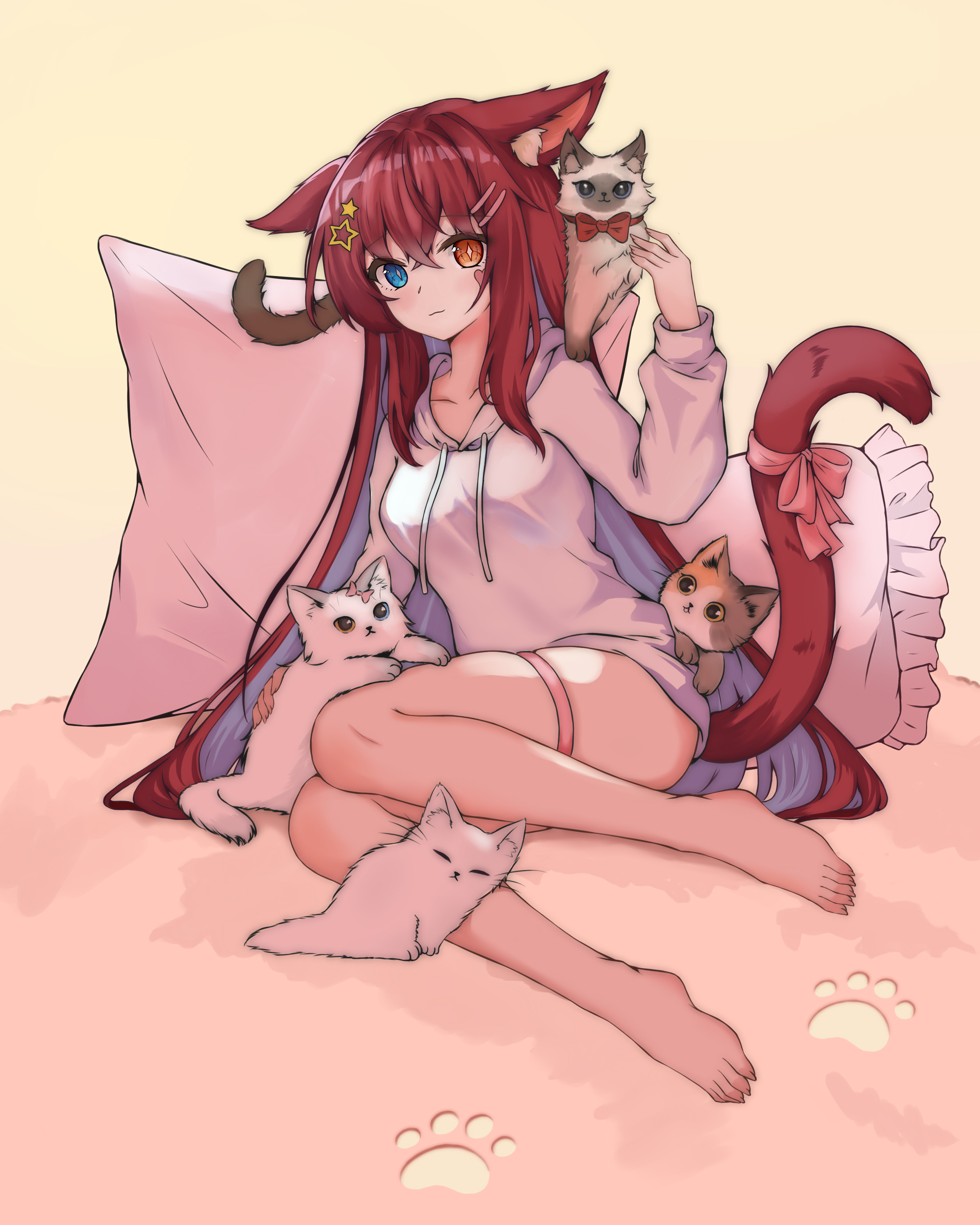 ze zhi ai, original, absurdres, highres, 1girl, animal, animal ears, animal on shoulder, barefoot, blue eyes, breasts, brown hair, calico (pattern), calico cat, cat, cat ears, cat girl, cat on shoulder, cat tail, colored inner hair, frilled pillow, frills, full body, hair ornament, hairclip, heterochromia, hood, hood down, hoodie, light smile, long hair, long sleeves, looking at viewer, medium breasts, multicolored hair, no pants, orange eyes, petting, pillow, red hair, siamese cat, star (symbol), star hair ornament, tail, thigh strap, very long hair, white cat, white hoodie
