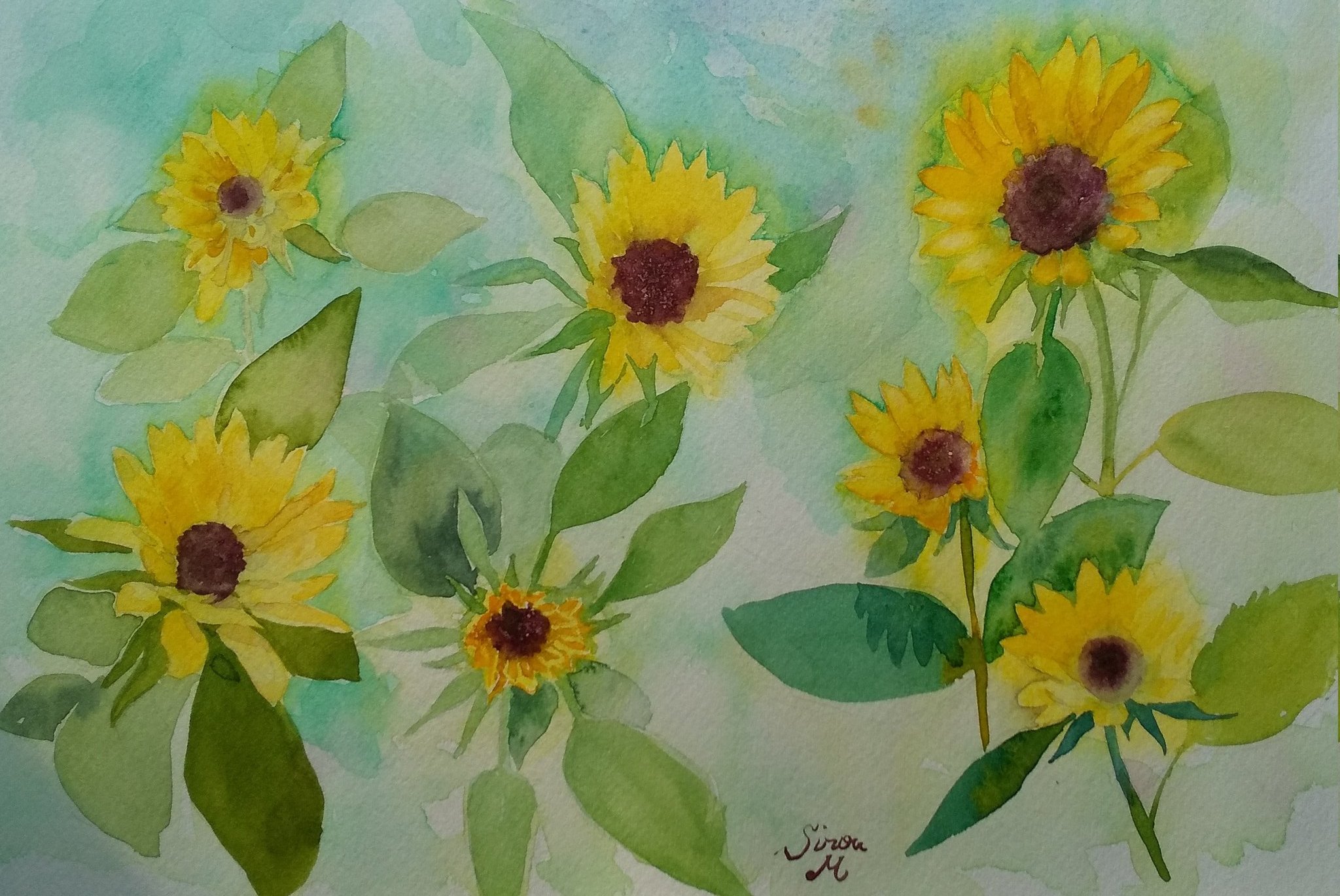 monsisiro411823, original, highres, painting (medium), traditional media, watercolor (medium), artist name, blue background, flower, flower focus, leaf, no humans, plant, plant focus, signature, sunflower, yellow flower