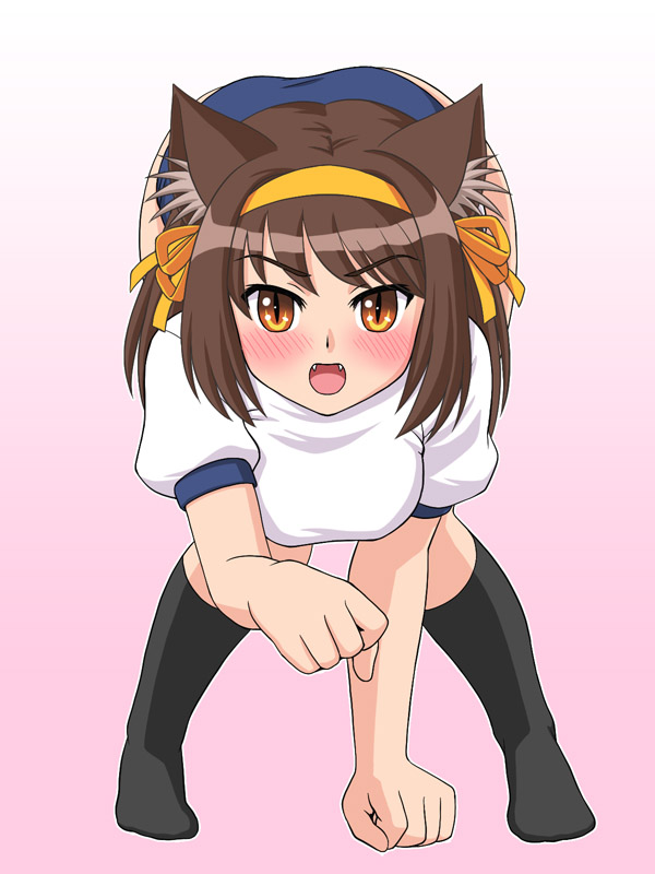 tofu juuji, suzumiya haruhi, suzumiya haruhi no yuuutsu, 00s, animal ears, cat ears, gym uniform, slit pupils, solo