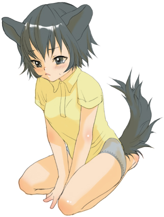 inuburo, copyright request, lowres, 1girl, animal ears, between legs, black eyes, black hair, blush, breasts, collared shirt, dog ears, female focus, hand between legs, seiza, shirt, short hair, short shorts, short sleeves, shorts, simple background, sitting, solo, sweatdrop, tail, white background