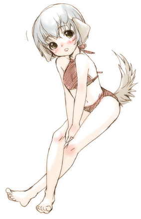 inuburo, copyright request, lowres, 1girl, animal ears, bikini, blush, dog ears, feet, female focus, full body, grey hair, legs folded, short hair, simple background, solo, swimsuit, tail, white background, yellow eyes