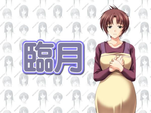 hizuki yuiko, ringetsu, tagme, apron, breasts, large breasts, pregnant