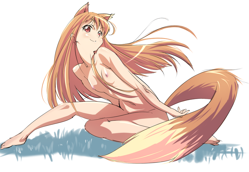 p.k., holo, spice and wolf, bad id, bad pixiv id, 00s, 1girl, animal ears, breasts, brown hair, female focus, long hair, nipples, nude, red eyes, small breasts, smile, solo, tail, wolf ears, wolf tail