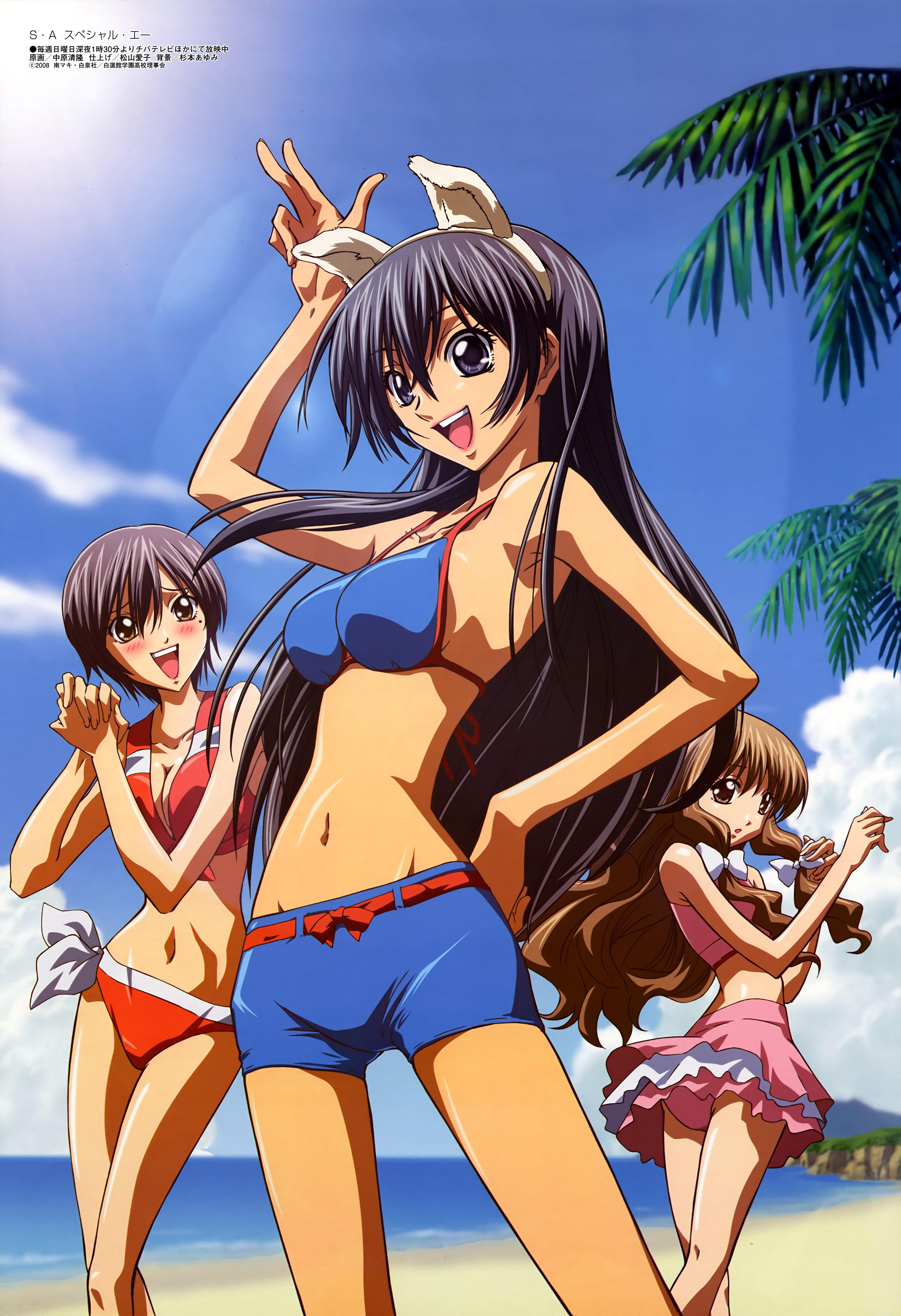 nakahara kiyotaka, hanazono hikari, toudou akira (special a), yamamoto megumi, megami magazine, special a, absurdres, highres, 00s, 3girls, animal ears, beach, belt, bikini, blush, bow, breasts, brown eyes, brown hair, cleavage, day, grey hair, hair bow, hairband, hand on own hip, hip focus, large breasts, long hair, looking back, medium breasts, multiple girls, navel, outdoors, pinup (style), purple eyes, purple hair, short hair, shorts, skirt, swimsuit, tankini, very long hair