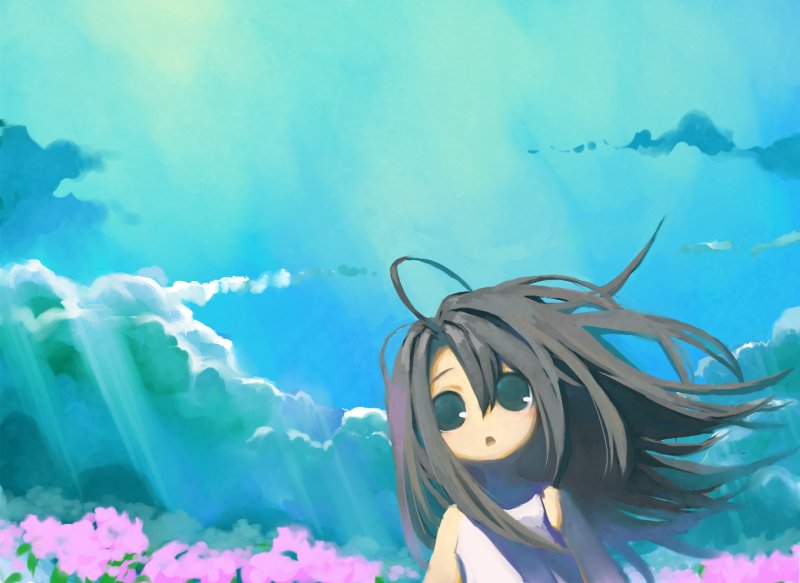 shiden, panorama, ahoge, black hair, blue eyes, camisole, cloud, flower, sky, solo, sunlight, wind