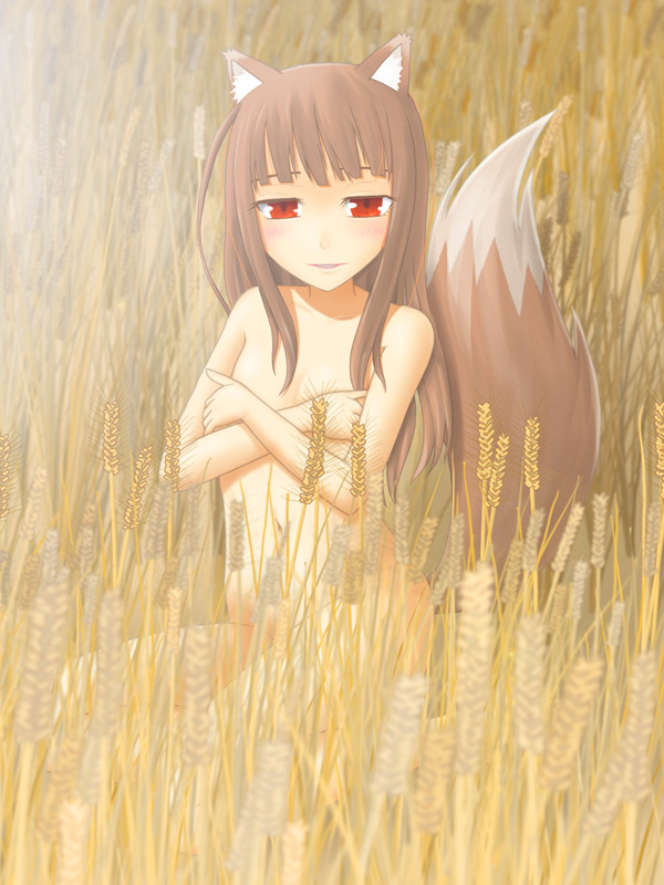oka takeshi, holo, spice and wolf, 00s, 1girl, animal ears, covering breasts, covering privates, female focus, nude, nude cover, red eyes, solo, tail, wheat, wolf ears, wolf tail