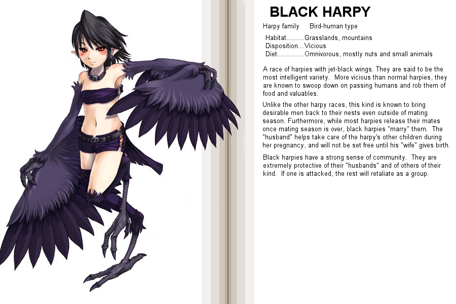 kenkou cross, black harpy, monster girl encyclopedia, hard-translated, official art, third-party edit, translated, 1girl, animal hands, belt, black hair, blush, character profile, choker, collar, digitigrade, earrings, english text, feathers, female focus, harpy, jewelry, monster girl, navel, pointy ears, red eyes, shorts, solo, standing, standing on one leg, winged arms, wings