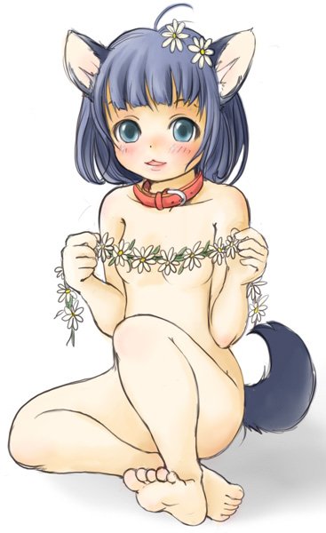 setouchi kurage, bad id, bad pixiv id, animal ears, blue eyes, blue hair, blush, collar, covering privates, feet, flower, nude, nude cover, short hair, sitting, solo, tail