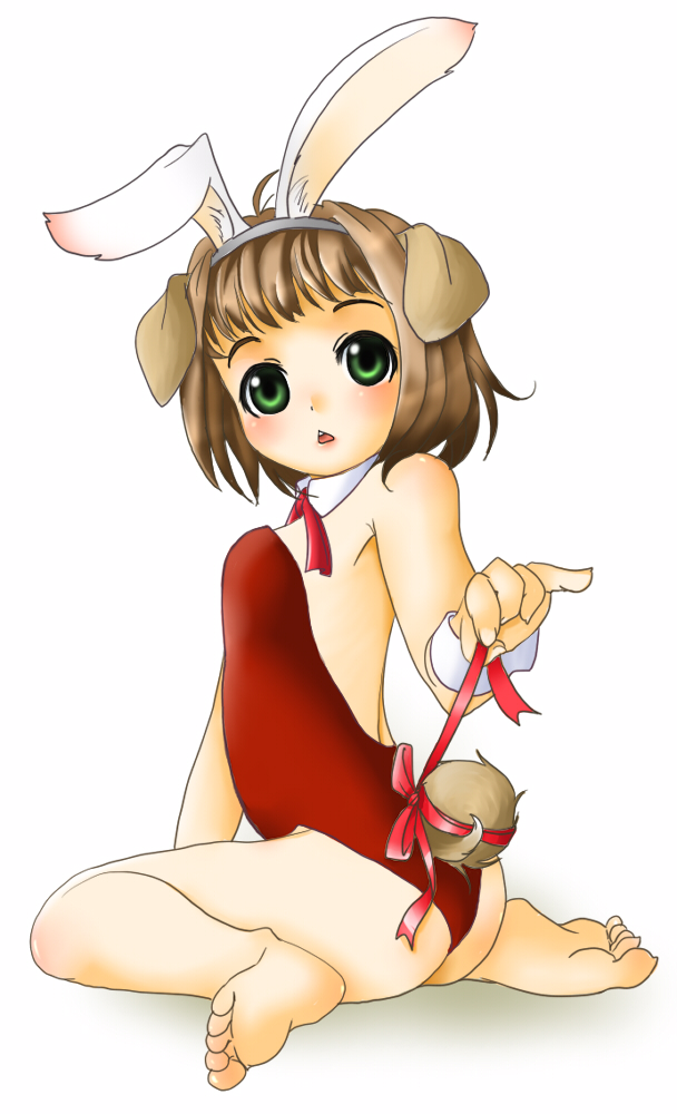 setouchi kurage, original, 1girl, animal ears, bare legs, bow, bowtie, brown hair, detached collar, dog ears, fake animal ears, feet, female focus, green eyes, leotard, playboy bunny, rabbit ears, red bow, red bowtie, short hair, sitting, solo, tail
