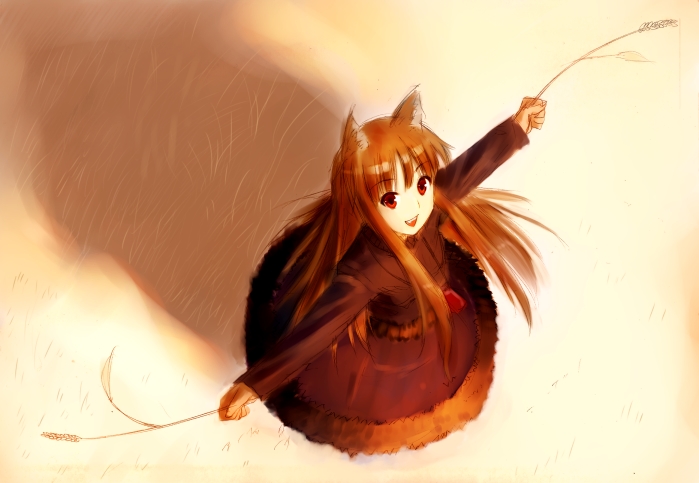 mokuden, holo, spice and wolf, bad id, bad pixiv id, 00s, animal ears, brown hair, long hair, red eyes, solo, tail, wheat, wolf ears