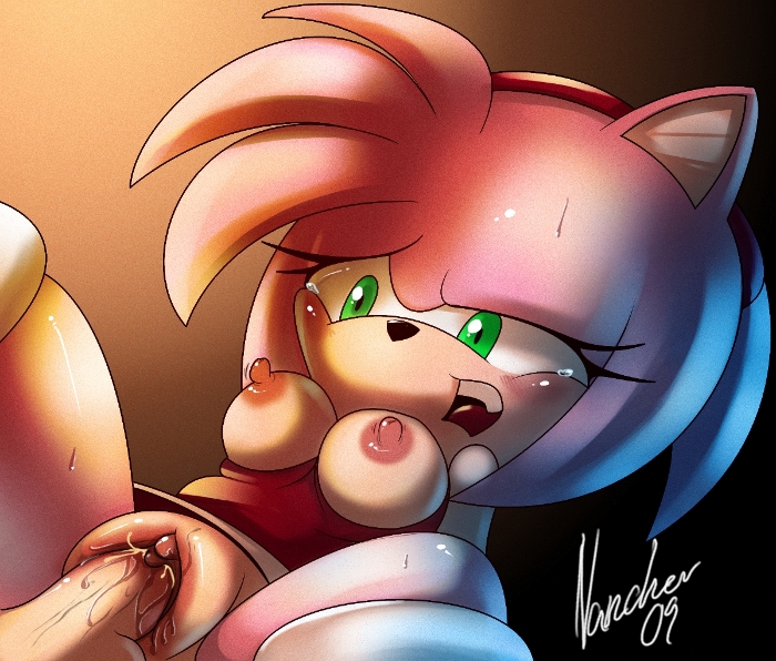 Rule34 – If it exists, there is porn of it / nancher, amy rose / 10834
