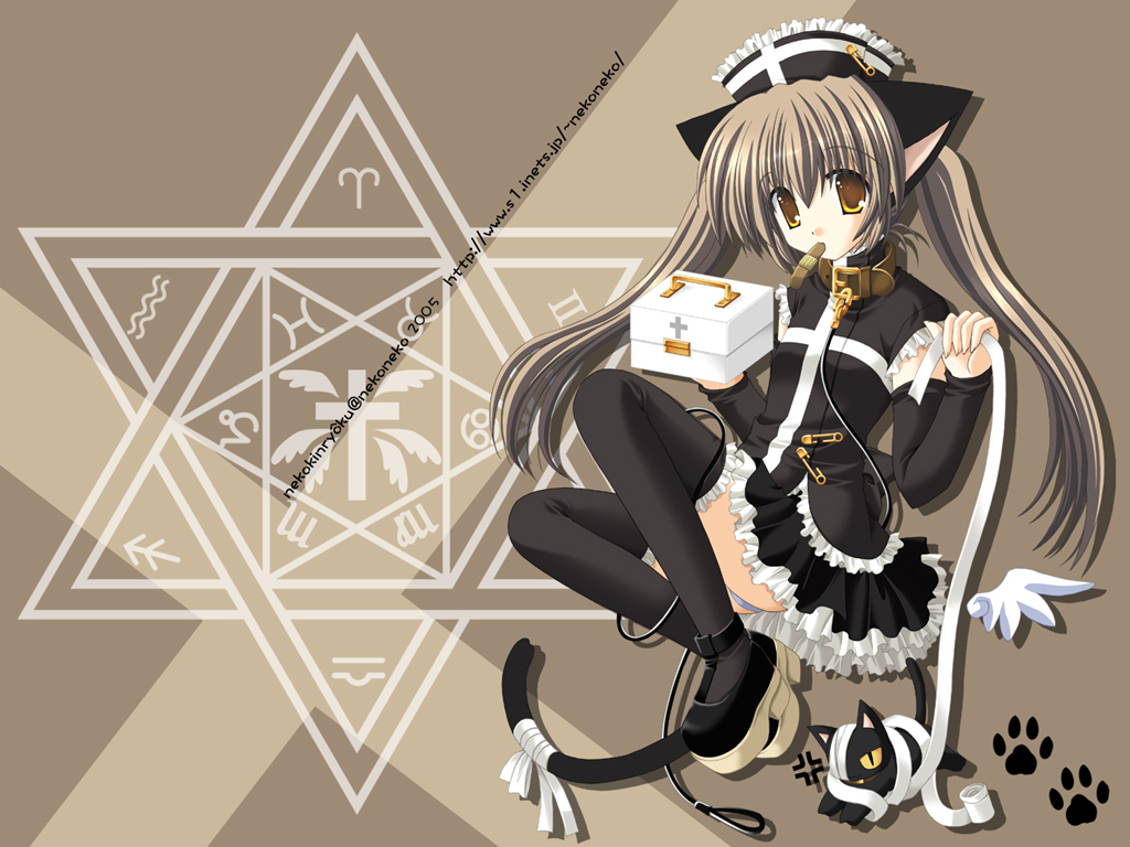 animal ears, cat ears, cat tail, long hair, nurse, panties, tail, thighhighs, twintails, underwear