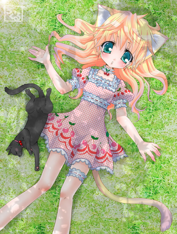 animal ears, blush, cat, cat ears, cat tail, flat chest, long hair, tail