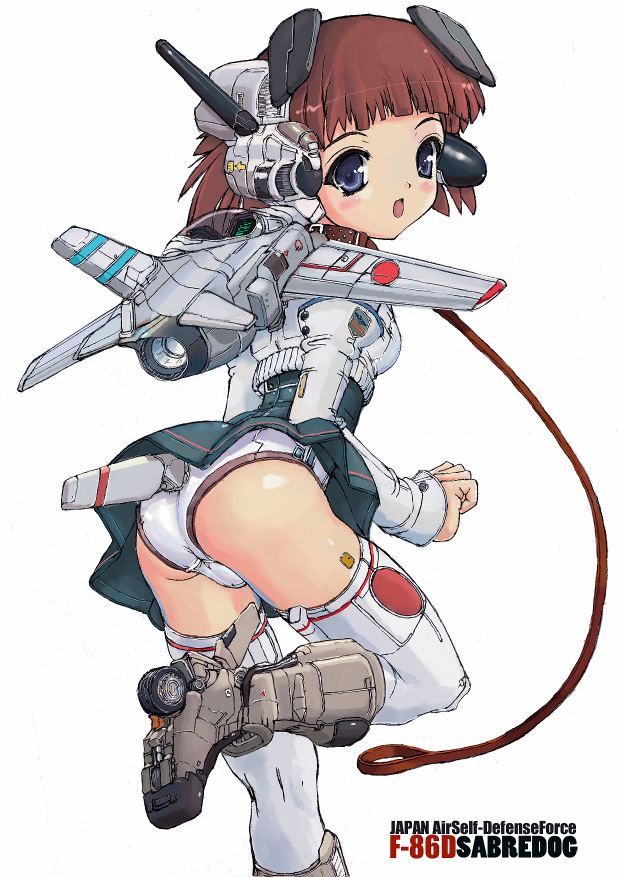 inu777, aircraft, airplane, blush, collar, leash, loli, panties, short hair, thighhighs, underwear