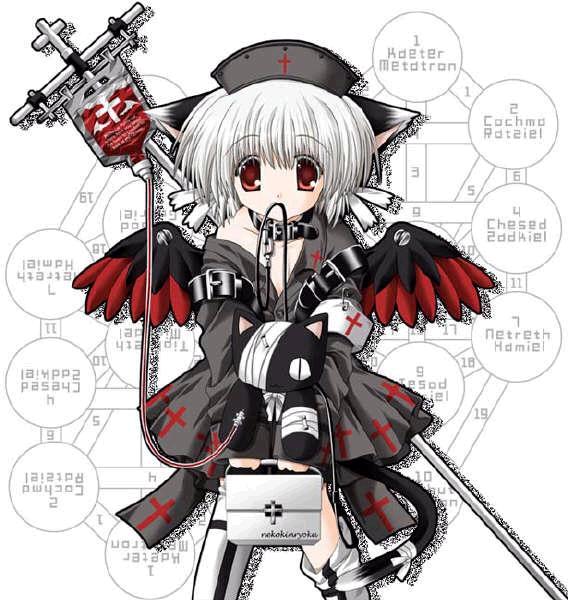 kitty, animal ears, bandages, blood, bow, cat ears, collar, hat, leash, medical, short hair, thighhighs, wings