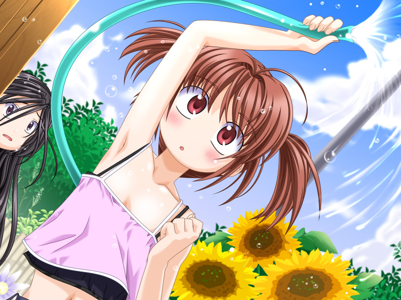 saitou natsuki, kojima hibiki, kojima kirika, imouto kansatsu nikki 2, triangle (company), game cg, 2girls, armpits, blush, flat chest, flower, hose, long hair, midriff, multiple girls, red eyes, short hair, sky, standing, sunflower, tank top, twintails, water, wet