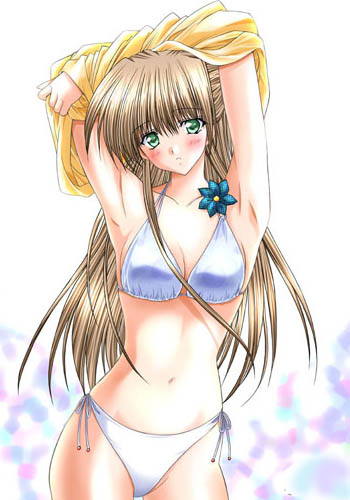 artist request, character request, copyright request, lowres, tagme, 1girl, female focus, solo, swimsuit