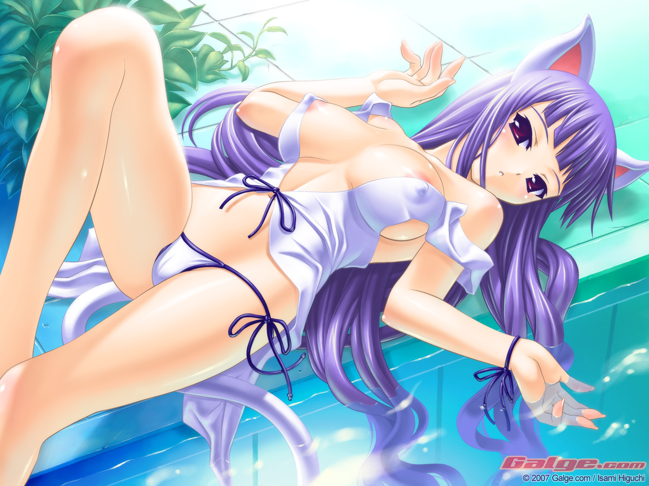 animal ears, breasts, cat ears, cat tail, long hair, midriff, panties, tail, underwear