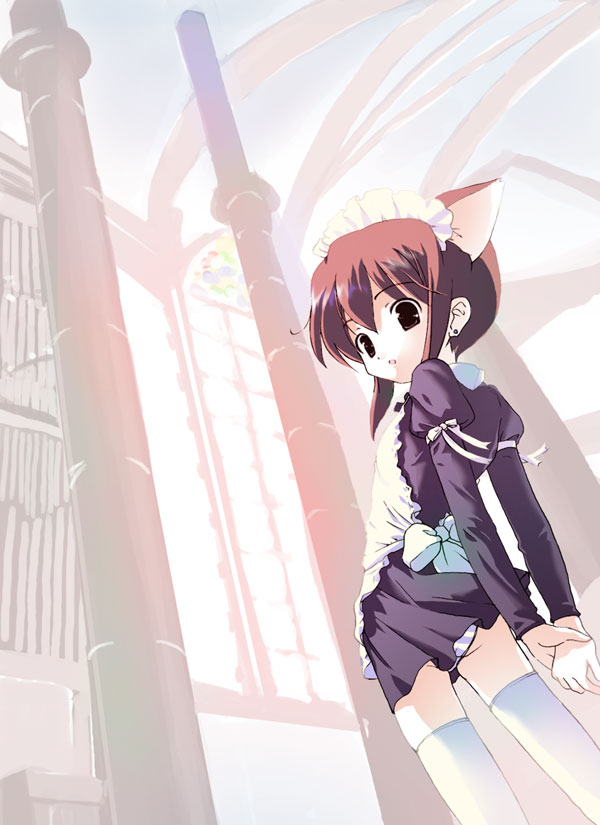 animal ears, apron, bow, brown eyes, brown hair, cat ears, dress, flat chest, maid, maid apron, panties, short hair, striped clothes, striped panties, thighhighs, underwear
