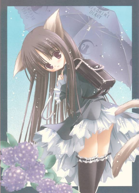 1girl, animal ears, brown eyes, brown hair, cat ears, cat tail, dress, female focus, flower, hydrangea, long hair, panties, solo, striped clothes, striped panties, tail, thighhighs, umbrella, underwear