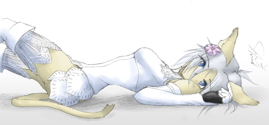 mithra (ff11), armor, blush, no panties, short hair, tail, thighhighs