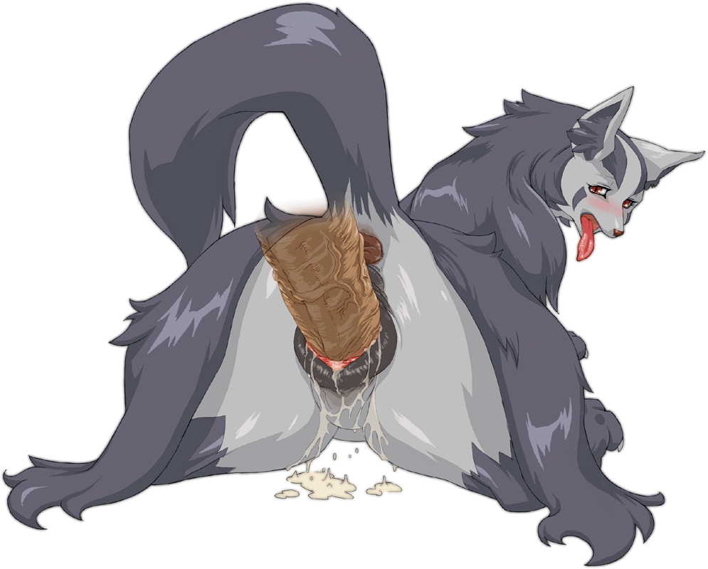 Rule34 – If it exists, there is porn of it / nezumi, mightyena / 12778