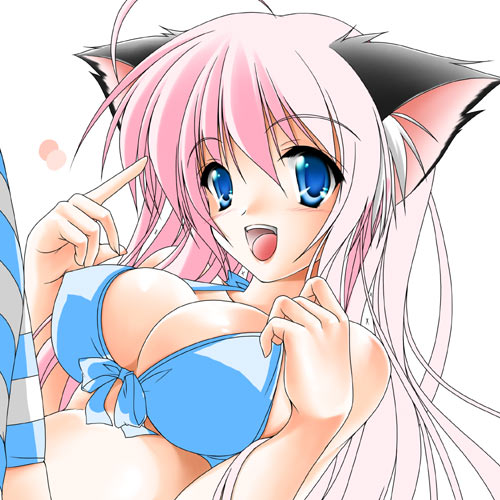 kamiya tomoe, lowres, 1girl, animal ears, bikini, blue bikini, blue eyes, blush, breasts, cat ears, cat girl, female focus, large breasts, long hair, looking at viewer, pink hair, solo, striped clothes, striped thighhighs, swimsuit, thighhighs