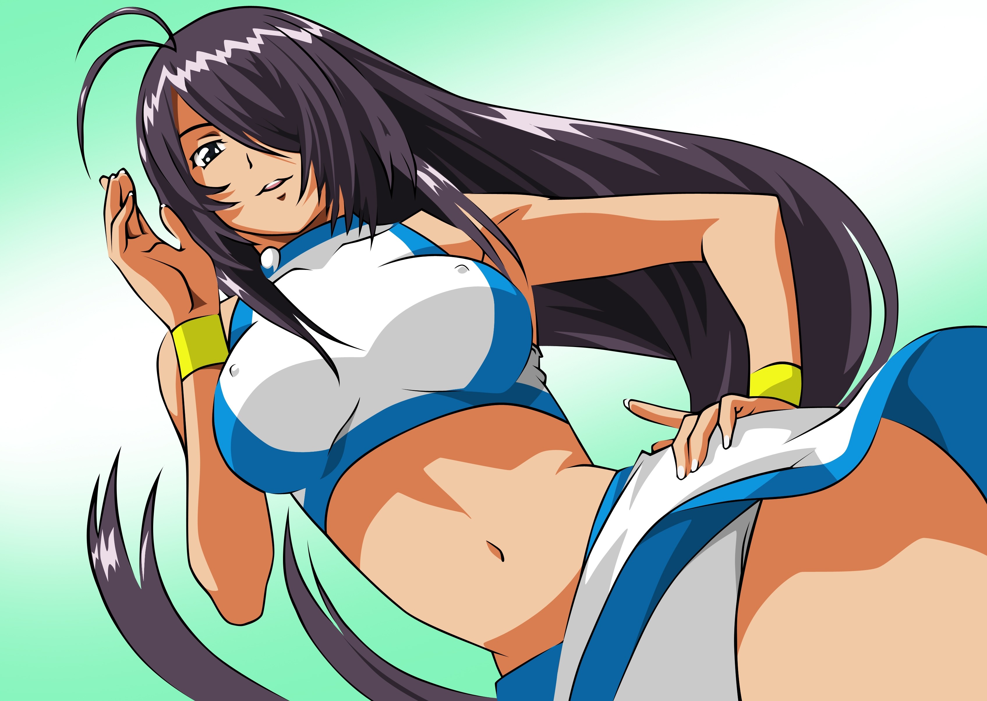 kan'u unchou, ikkitousen, absurdres, derivative work, highres, vector trace, 00s, long hair, midriff, panties, skirt, underwear