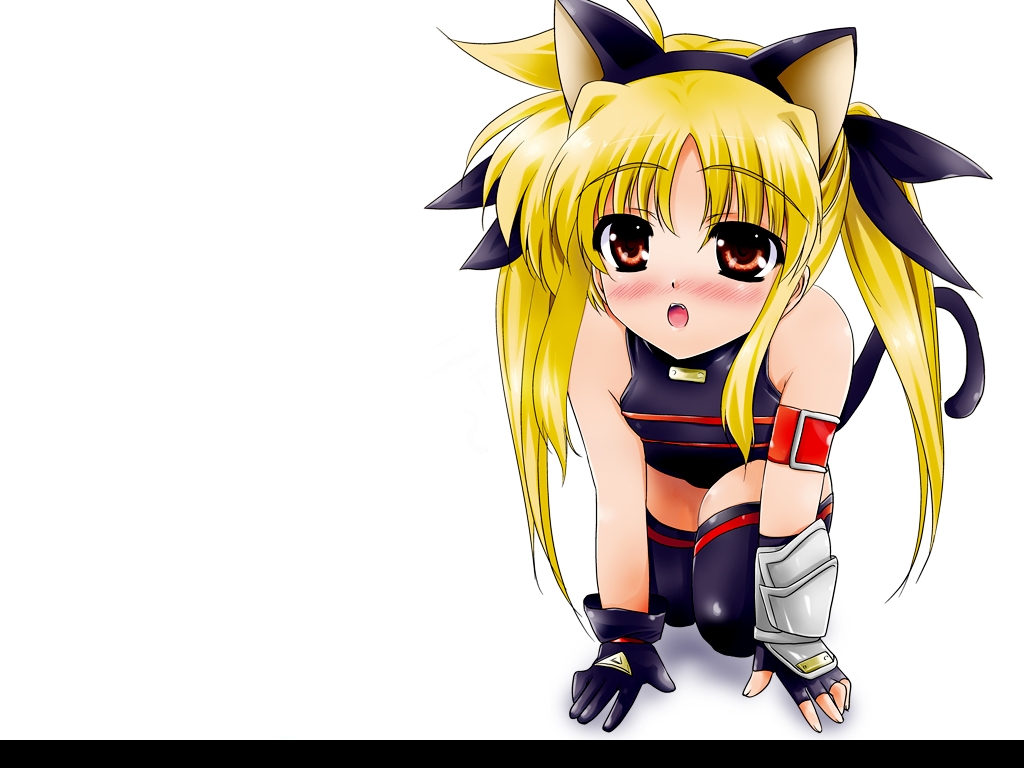 fate testarossa, animal ears, blush, cat ears, cat tail, long hair, spandex, tail, thighhighs