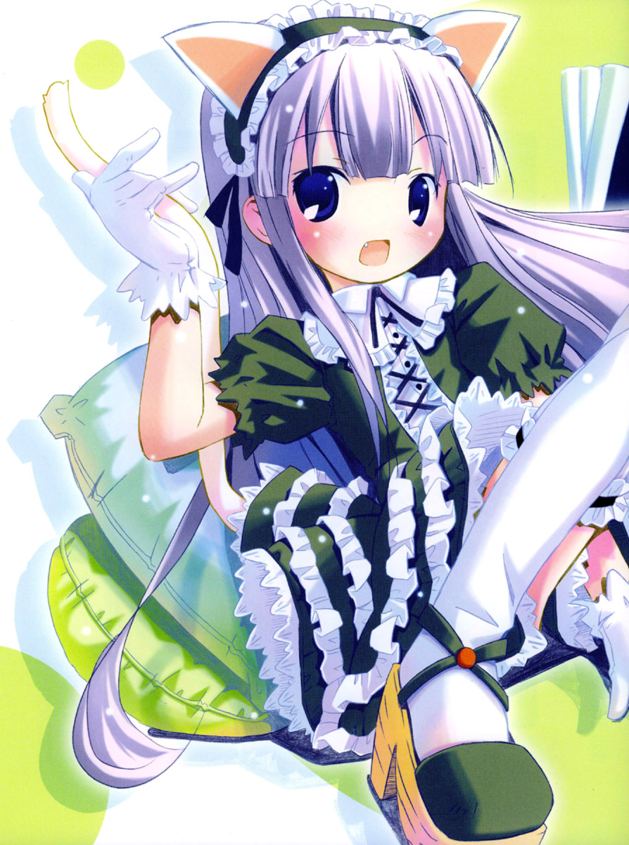 pop, hazuki (tsukuyomi), tsukuyomi moonphase, highres, 00s, 1girl, animal ears, blush, cat ears, cat tail, dress, fake animal ears, fang, female focus, gothic lolita, lace, lolita fashion, long hair, skirt, solo, tail, thighhighs
