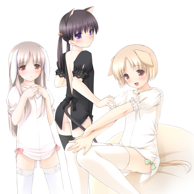 ooji, original, source request, 3girls, animal ears, ass, blonde hair, blush, brown eyes, brown hair, cat ears, cat girl, closed mouth, cowboy shot, dog ears, dog girl, female focus, flat chest, happy, loli, long hair, looking at viewer, looking back, multiple girls, no panties, open mouth, panties, parted lips, purple eyes, rabbit girl, red eyes, short hair, sitting, smile, standing, thighhighs, twintails, underwear