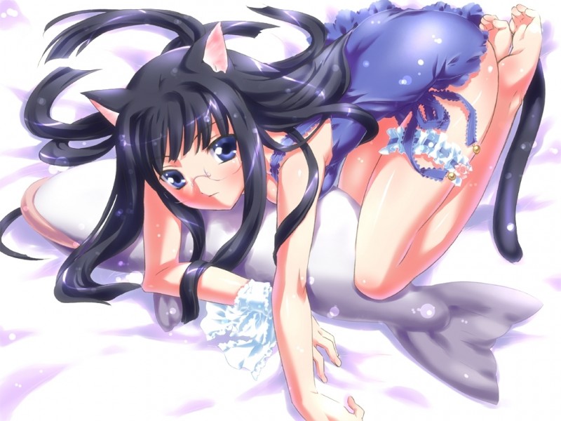 garters, animal ears, blush, cat ears, glasses, long hair, skirt, tail