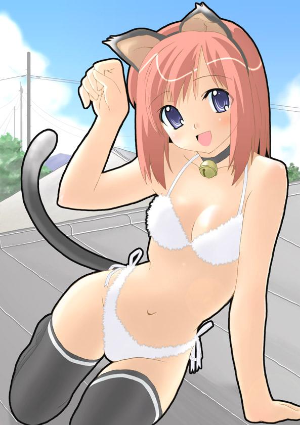 shike, animal ears, bell, blue eyes, blush, bra, cat ears, collar, lingerie, neck bell, panties, pink hair, short hair, side-tie panties, tail, thighhighs, underwear